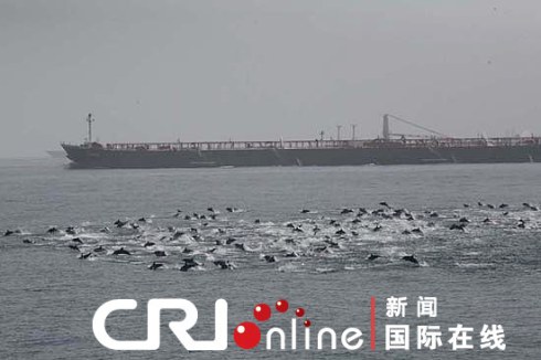 Thousands of dolphins blocked the suspected Somali pirate ships when they were trying to attack Chinese merchant ships passing the Gulf of Aden, the China Radio International reported on Monday.(Photo: Cri.cn)